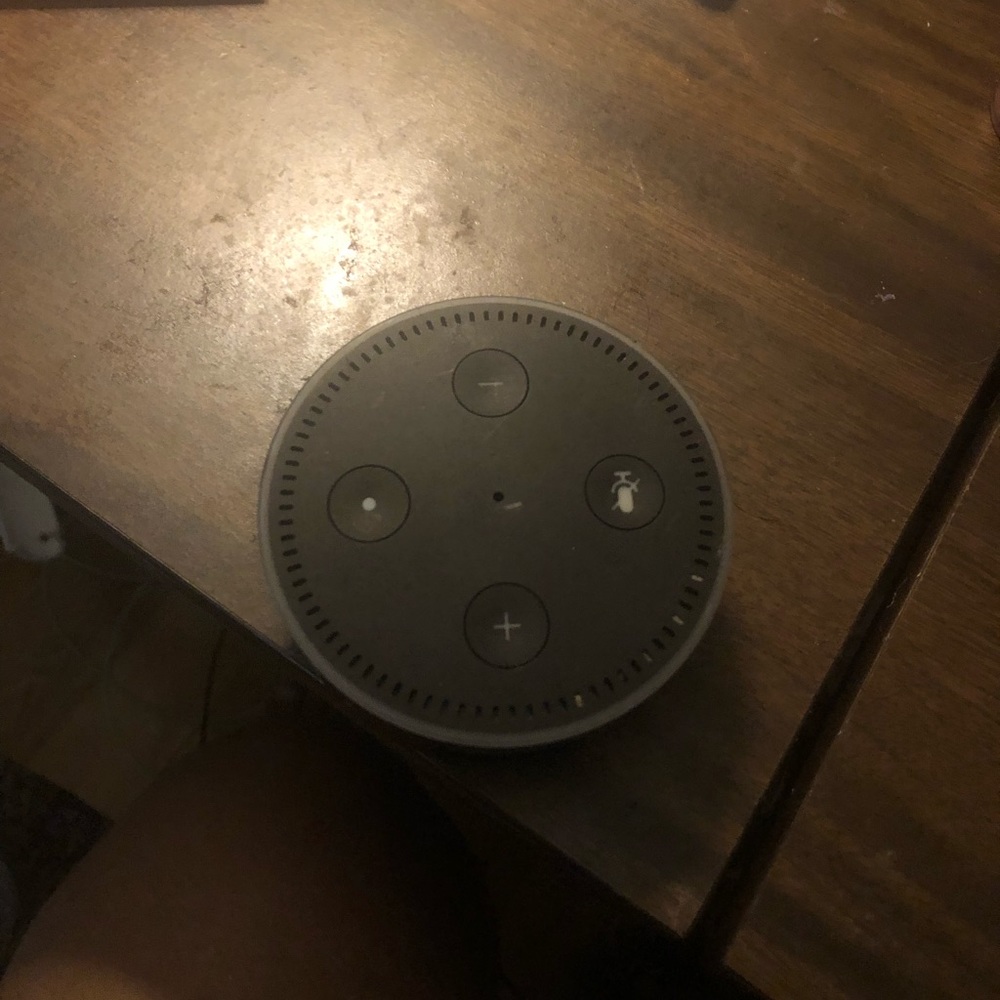 Echo dot